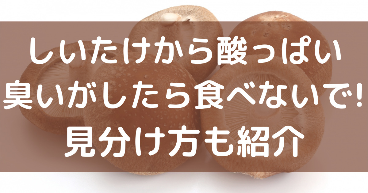 しいたけから酸っぱい臭いがしたら食べないで 見分け方も紹介 100点ブログ