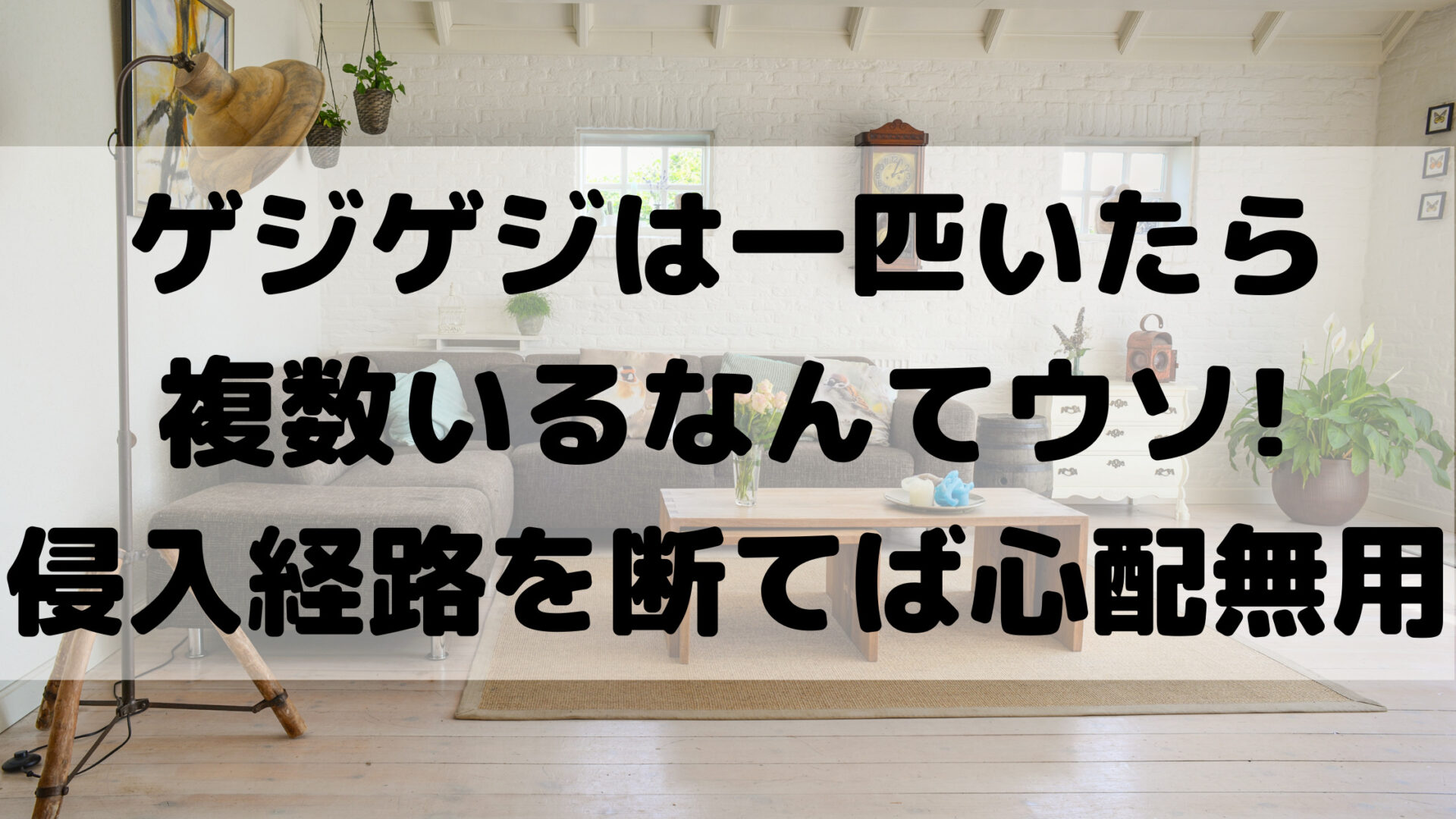 ゲジゲジは一匹いたら複数いるなんてウソ 侵入経路を断てば心配無用 100点ブログ