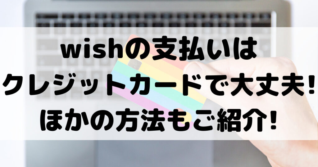 Wishの支払い方法はクレジットカードで大丈夫 Paypalも安全 100点ブログ