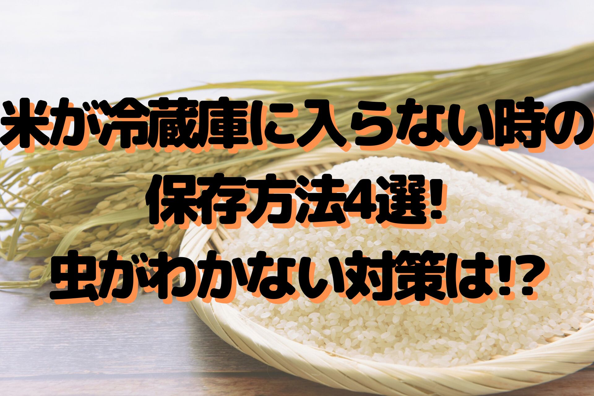 米が冷蔵庫に入らない時の保存方法4選 虫がわかない対策は 100点ブログ